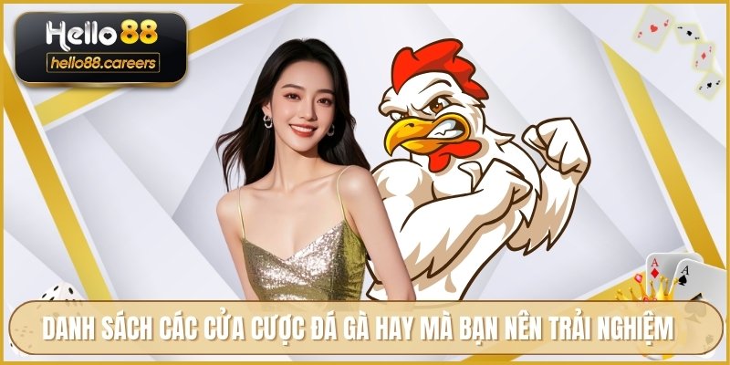 Danh sách các cửa cược đá gà hay mà bạn nên trải nghiệm