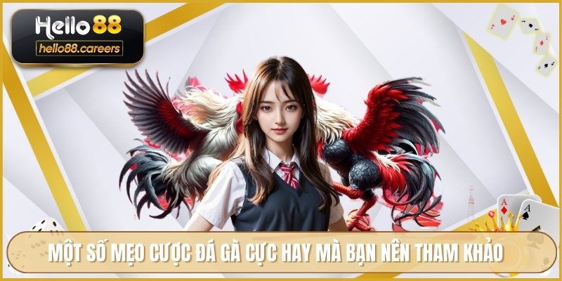 Đá Gà Cựa Dao HELLO88 - Phân Tích Kỹ Thuật Cược Hiệu Quả 4 Một số mẹo cược đá gà cực hay mà bạn nên tham khảo