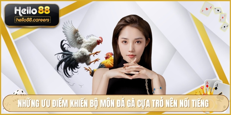 Đá Gà Cựa Sắt HELLO88 - Tin Tức Và Hướng Dẫn Xem Trực Tuyến 3 Những ưu điểm khiến bộ môn đá gà cựa trở nên nổi tiếng