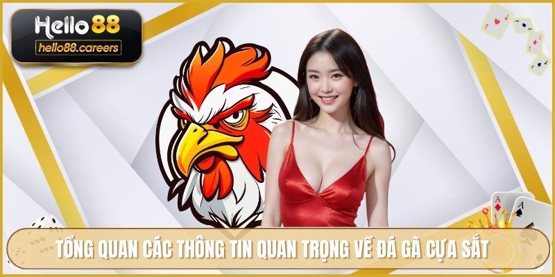 Đá Gà Cựa Sắt HELLO88 - Tin Tức Và Hướng Dẫn Xem Trực Tuyến 2 Tổng quan các thông tin quan trọng về đá gà cựa sắt