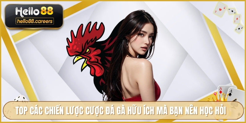 Đá Gà Cựa Sắt HELLO88 - Tin Tức Và Hướng Dẫn Xem Trực Tuyến 4 TOP các chiến lược cược đá gà hữu ích mà bạn nên học hỏi