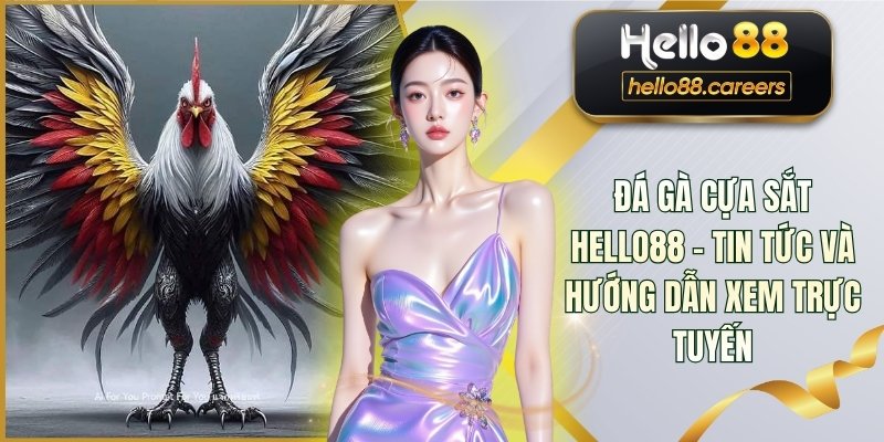 Đá Gà Cựa Sắt HELLO88 - Tin Tức Và Hướng Dẫn Xem Trực Tuyến 1 Đá Gà Cựa Sắt